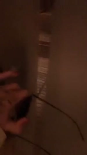 leaked leaked